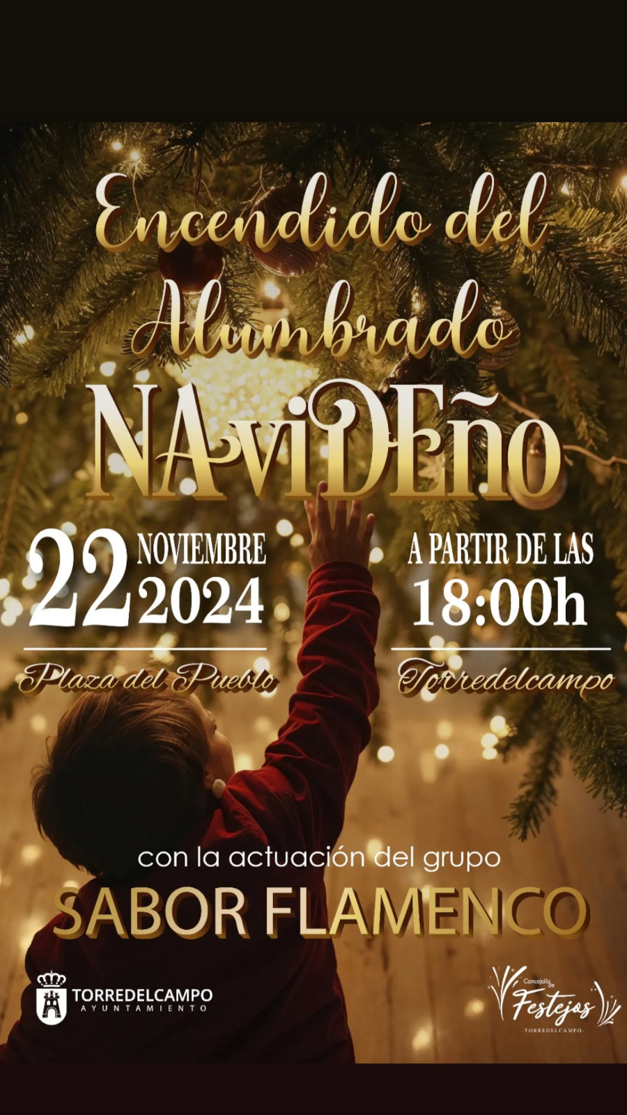 Encendido del Alumbrado Navideño