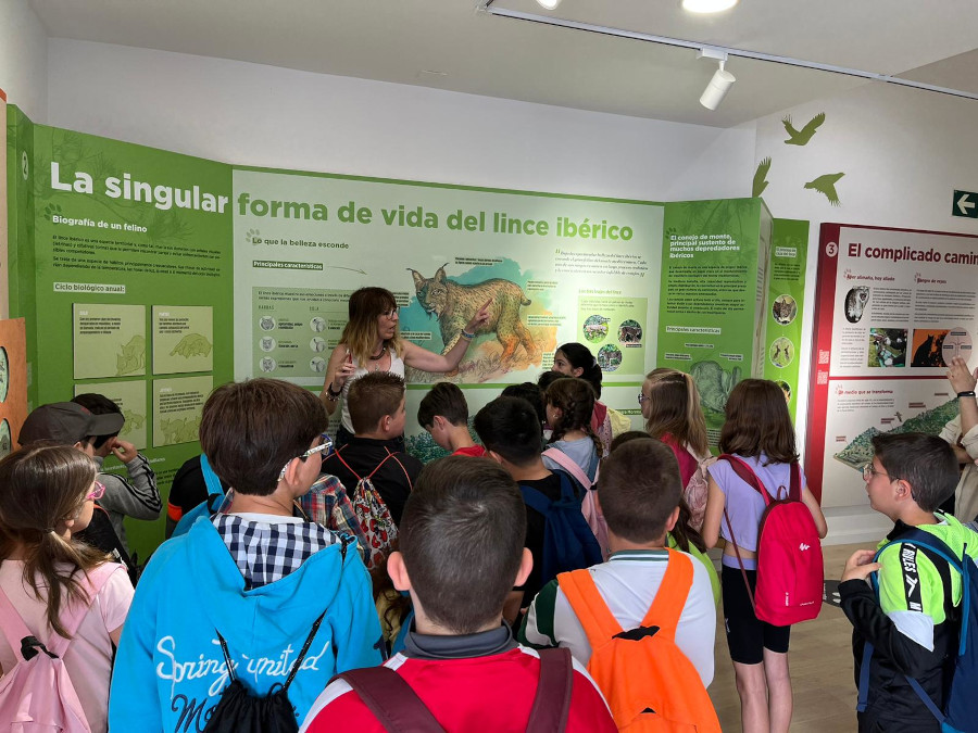Alumnado de 3º y 4º de primaria visitan el Ecomuseo del Lince Ibérico