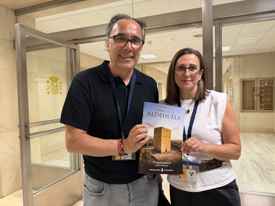 El Ayuntamiento avanza en la candidatura de la Torre de la Aldehuela al programa del 2% Cultural